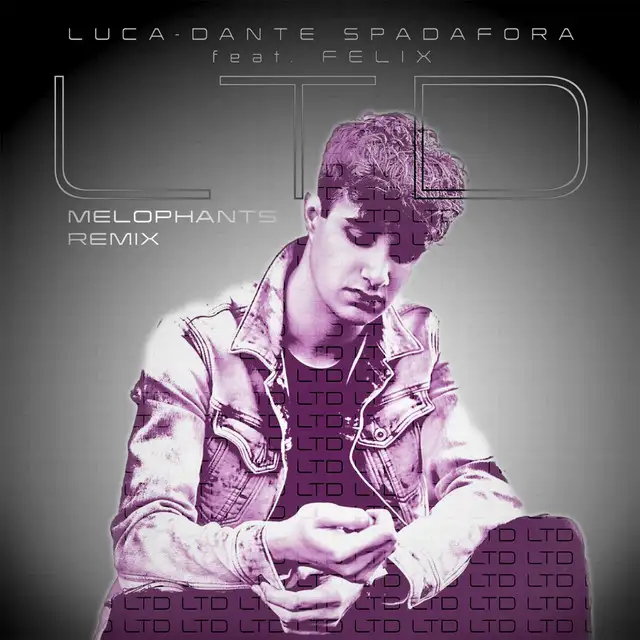 Luca-Dante Spadafora & F E L I X - LTD (MELOPHANTS Remix)