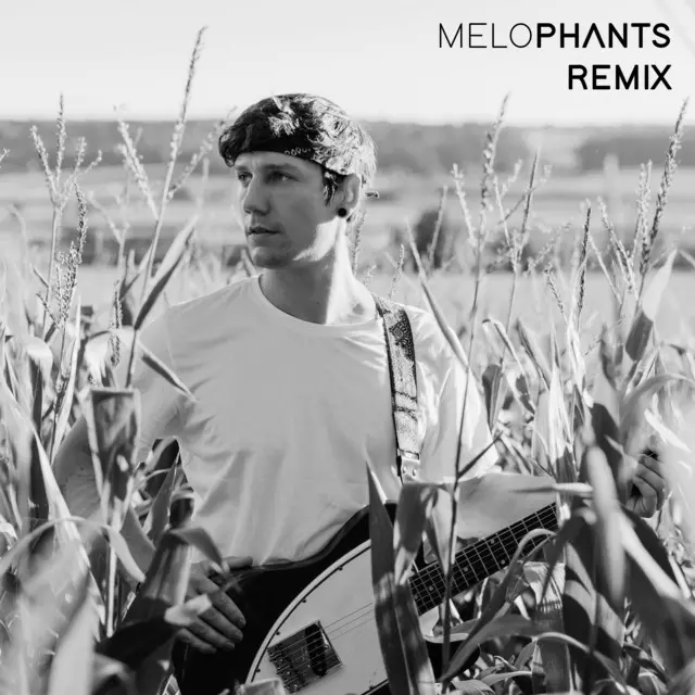 Felix Wiehler - Alright (MELOPHANTS Remix)